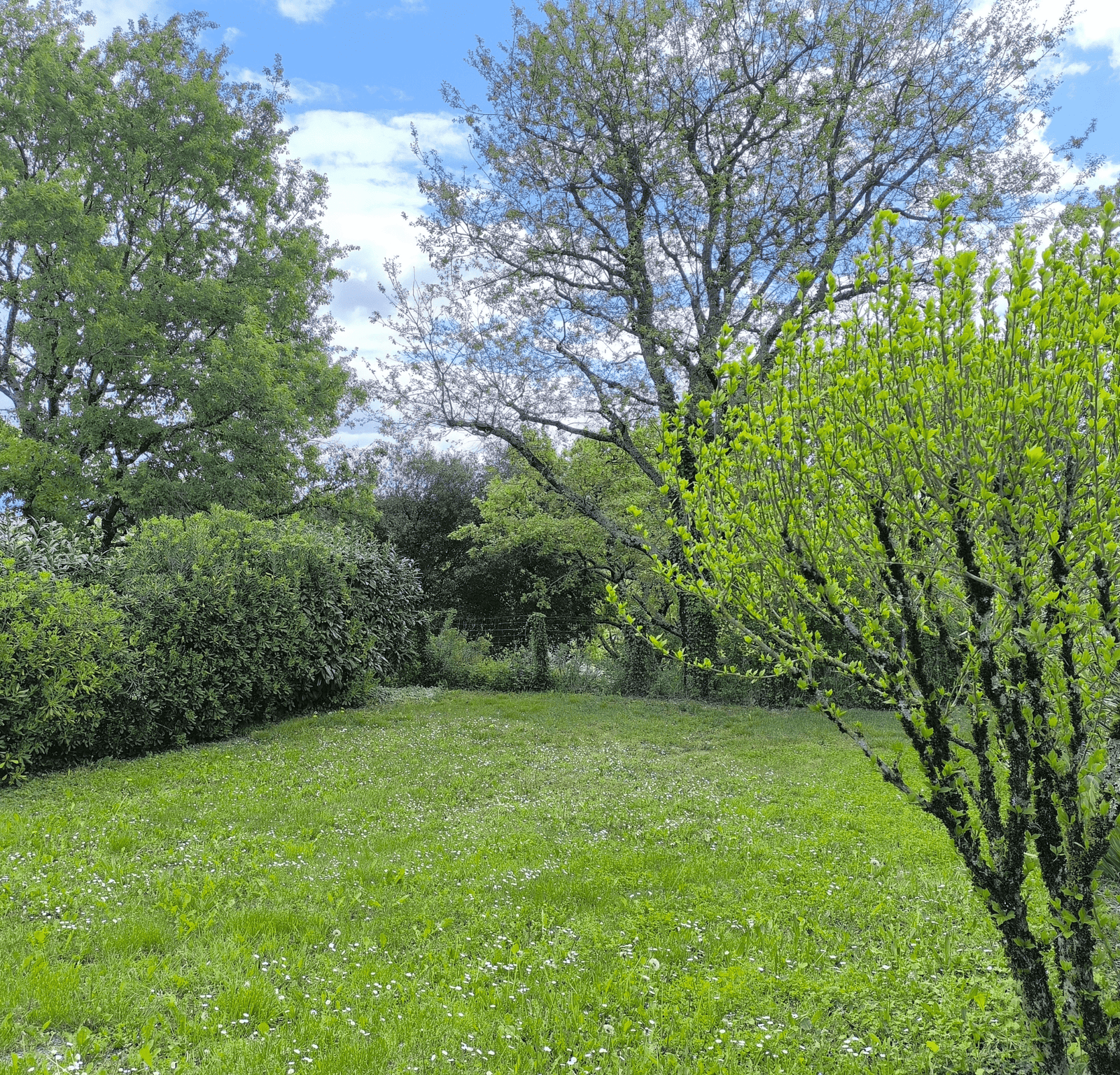EMPLACEMENT TENTE ET VANS 1