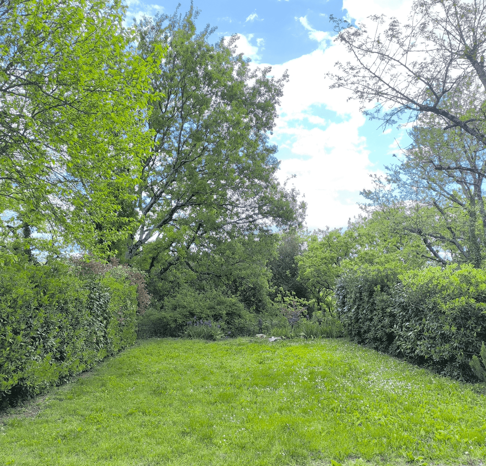 EMPLACEMENT TENTES ET VANS 2